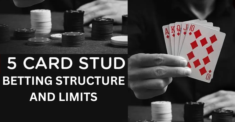 5 card stud betting structure and limits